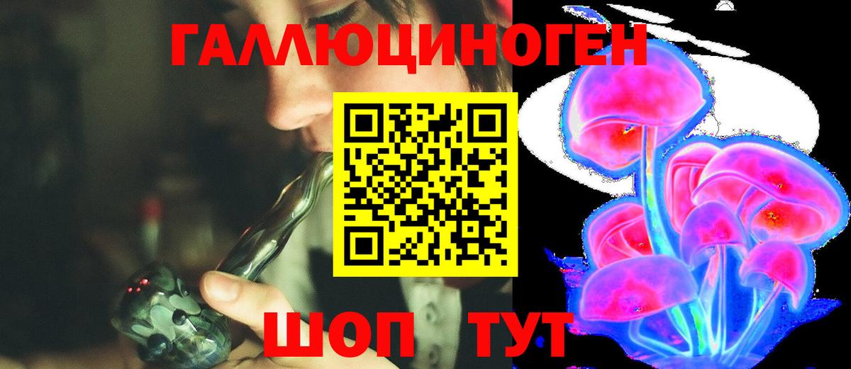Псилоцибиновые грибы ЛСД Чита