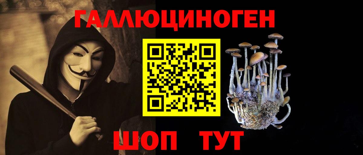 Псилоцибиновые грибы Psilocybine cubensis  Псилоцибиновые грибы мицелий  Чита  Вход с VPN 